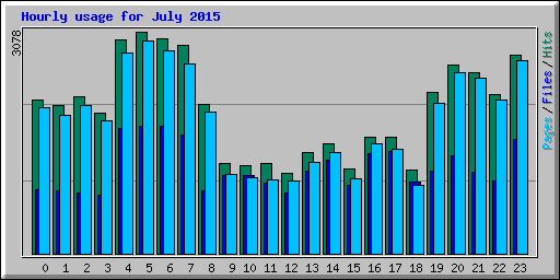 Hourly usage for July 2015