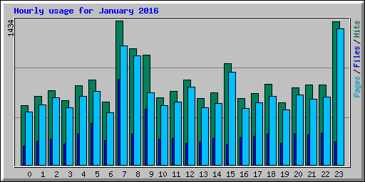 Hourly usage for January 2016